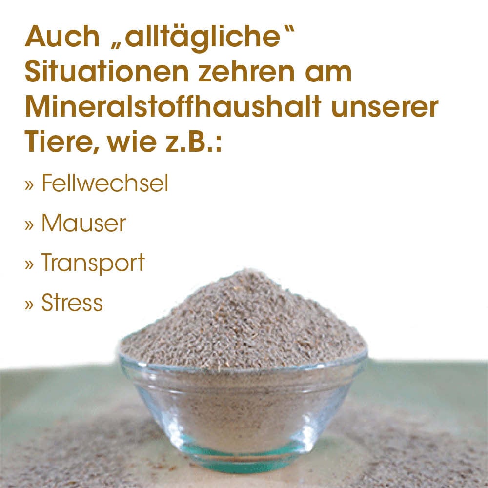 Mineralstoff, Mehl, Schale, Pulver, Sandartig