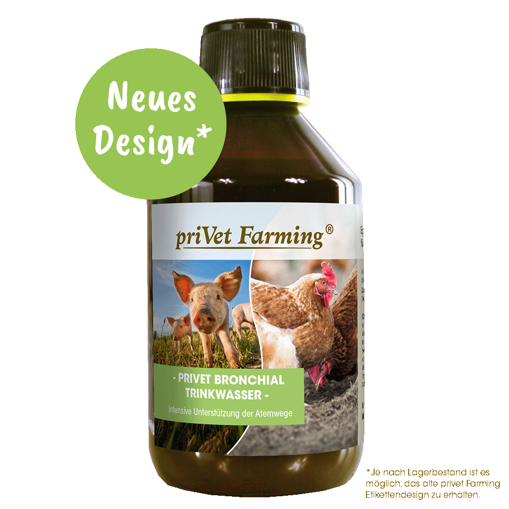 privet Bronchial Trinkwasser 250 ml