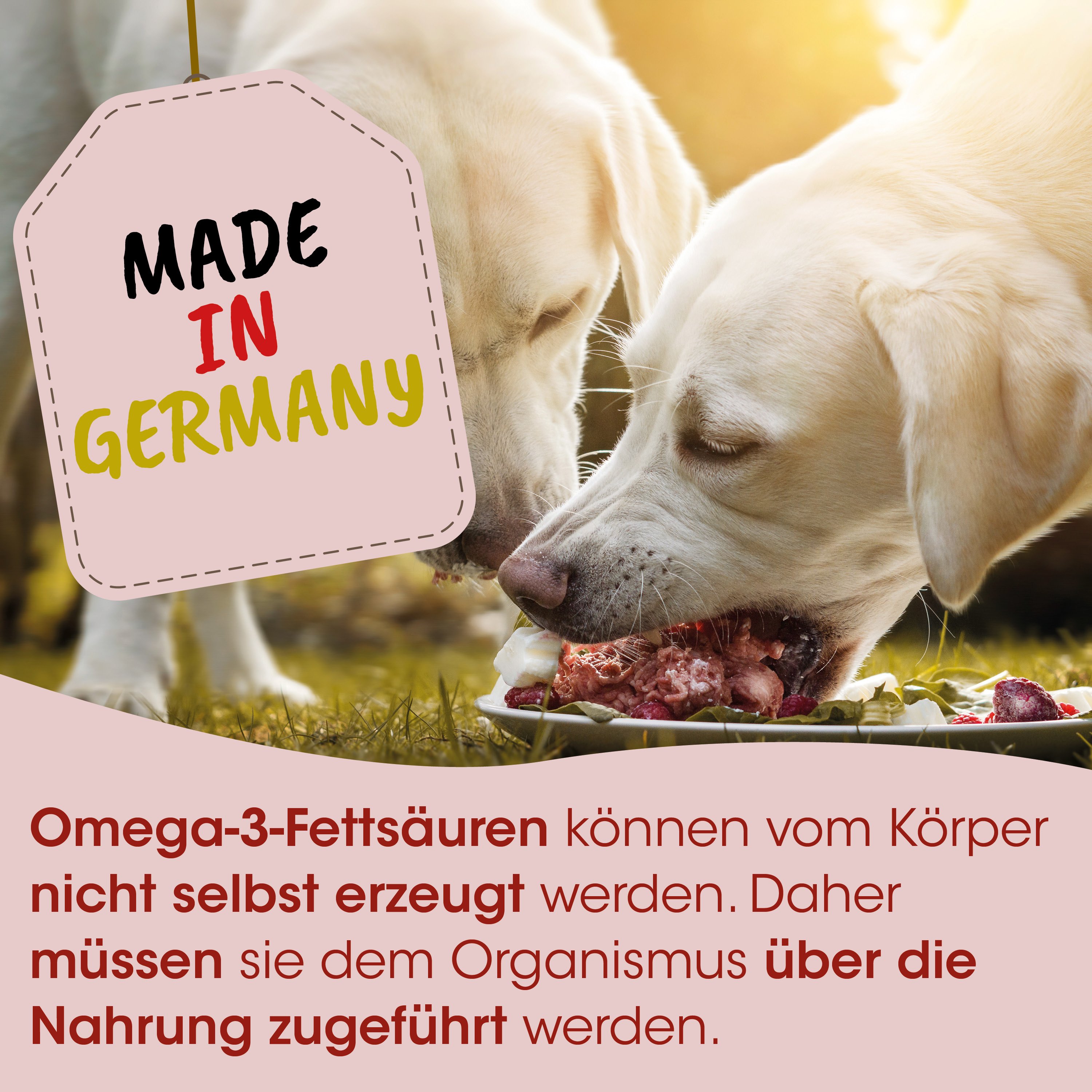 Hundefutter, Omega-3, Fischöle, Fleischstücke, Hundeernährung