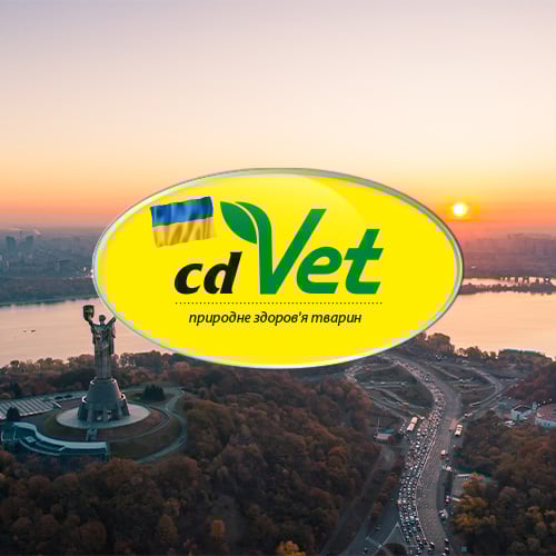 Ukraine_Bild Natur, Draußen, Himmel, Stadt, Straße
