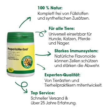 propolis, herbal, ergänzungsmittel, flasche, grün