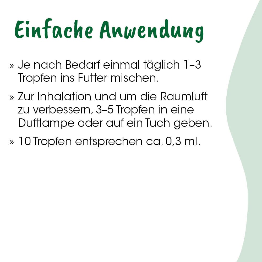 Infografik, Text, Deutsch, Anleitung, Anwendungsfenster