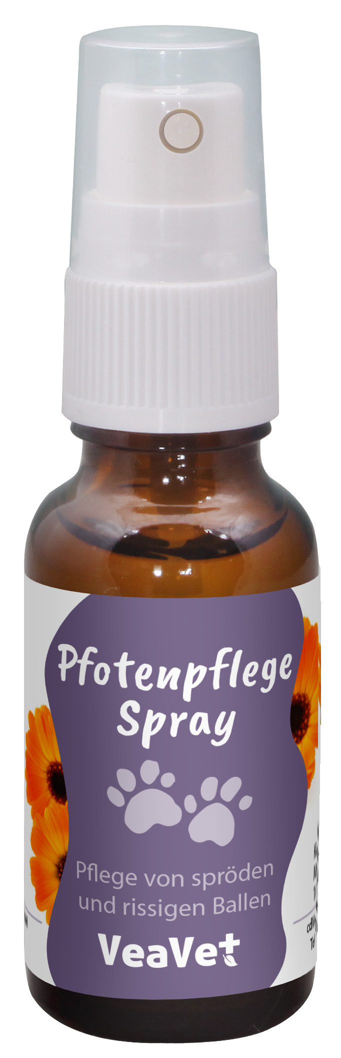 Kräuterig, Kräuter, Pflanze