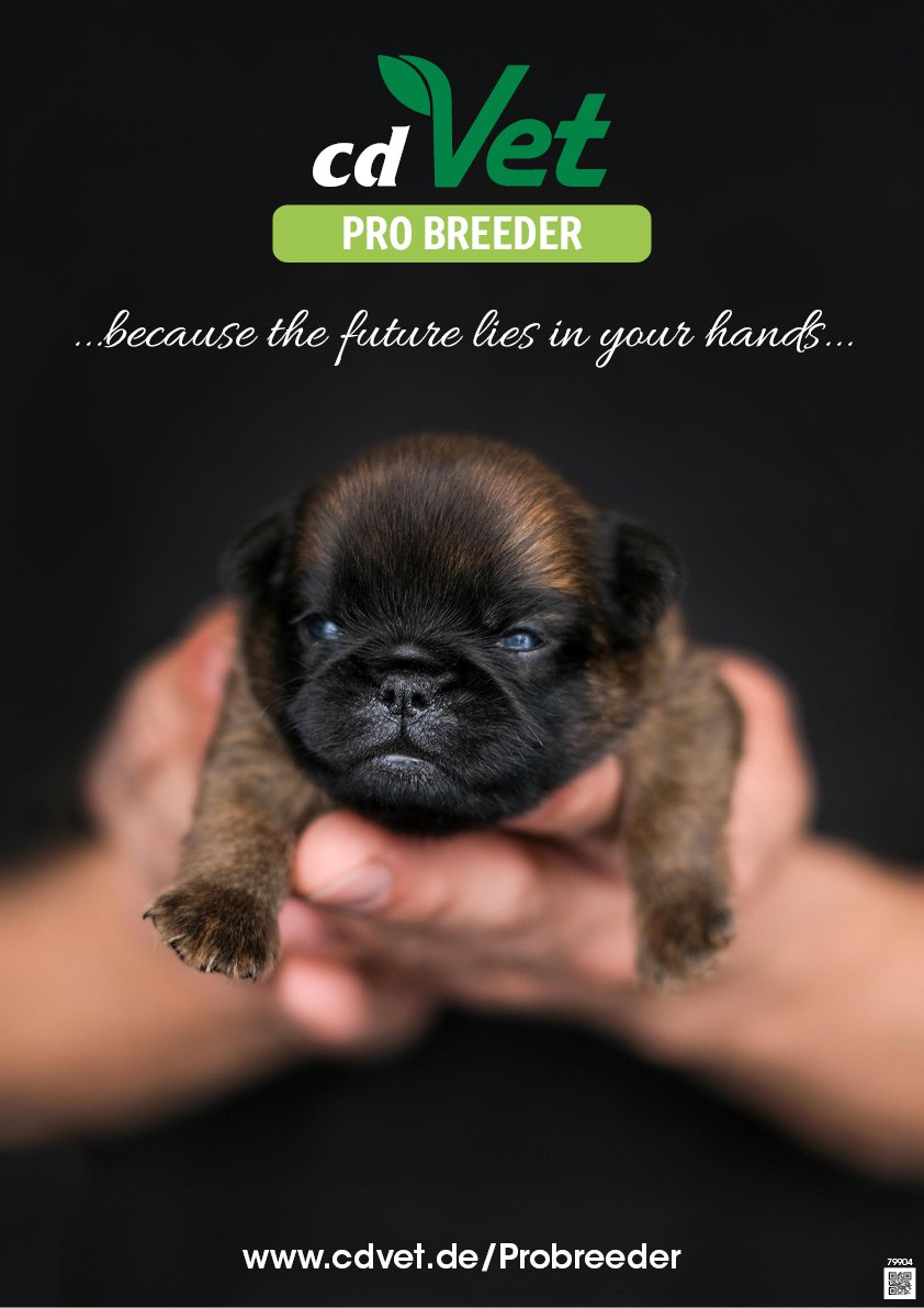 Plakat 4Breeder A3