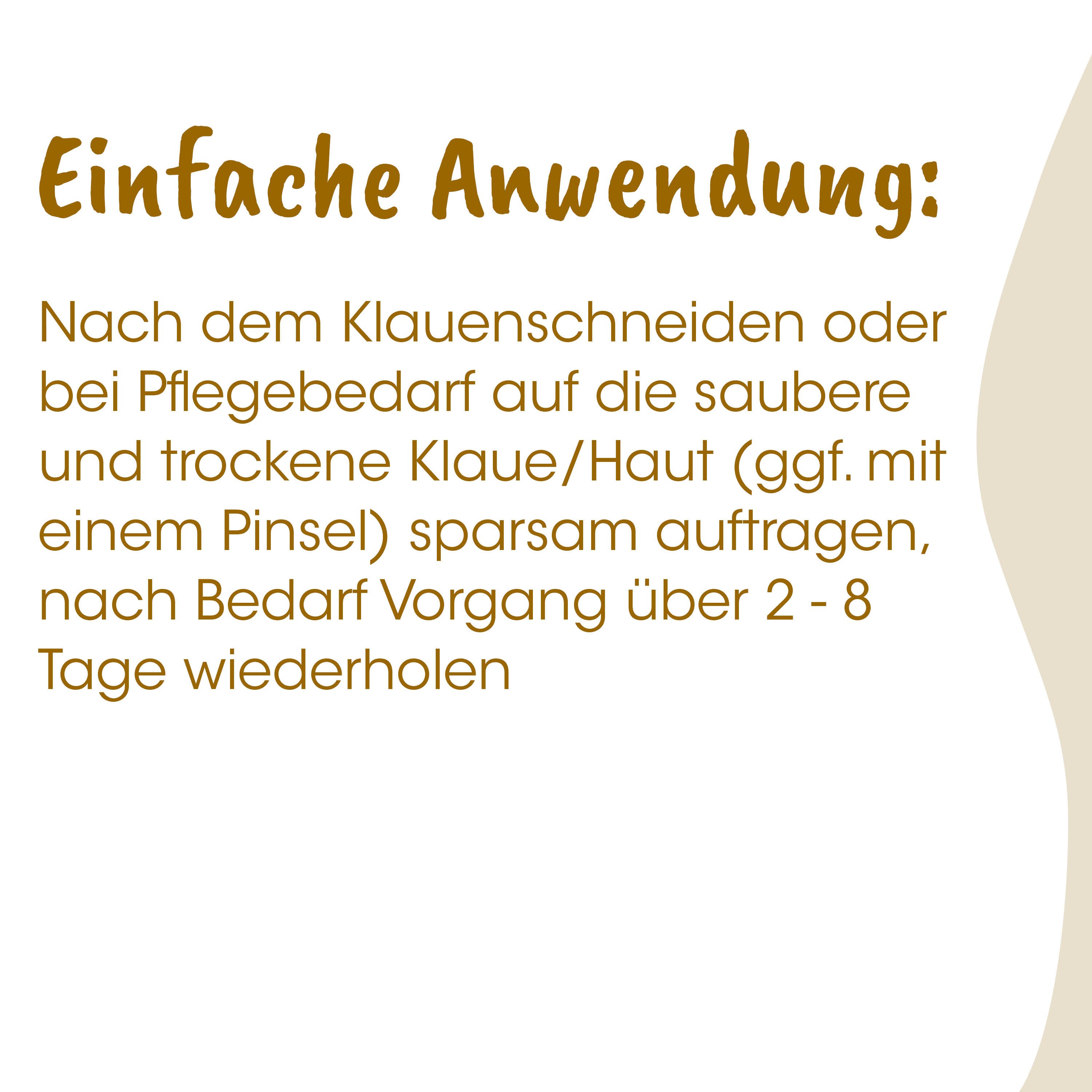 Text, German, educational, instruction, graphic