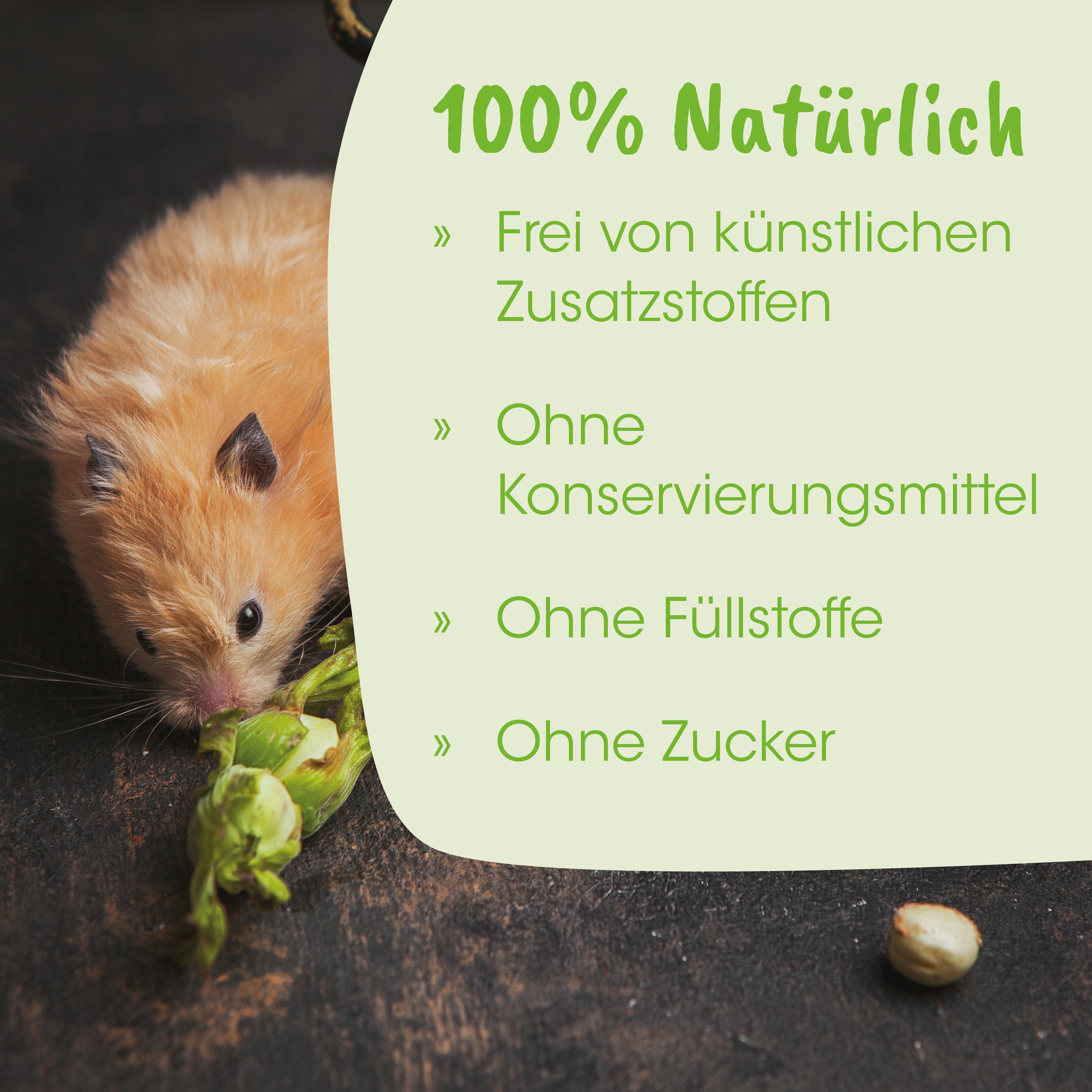  Hamster, Haustier, Futter, Gemüse, Snack