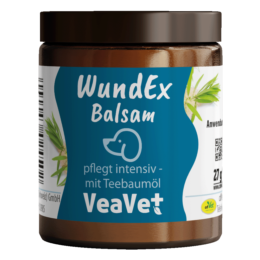 Kräuterig, Kräuter, Pflanze