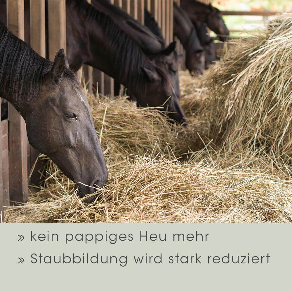 Pferd, Stroh, Stall, Tierfutter, Hay