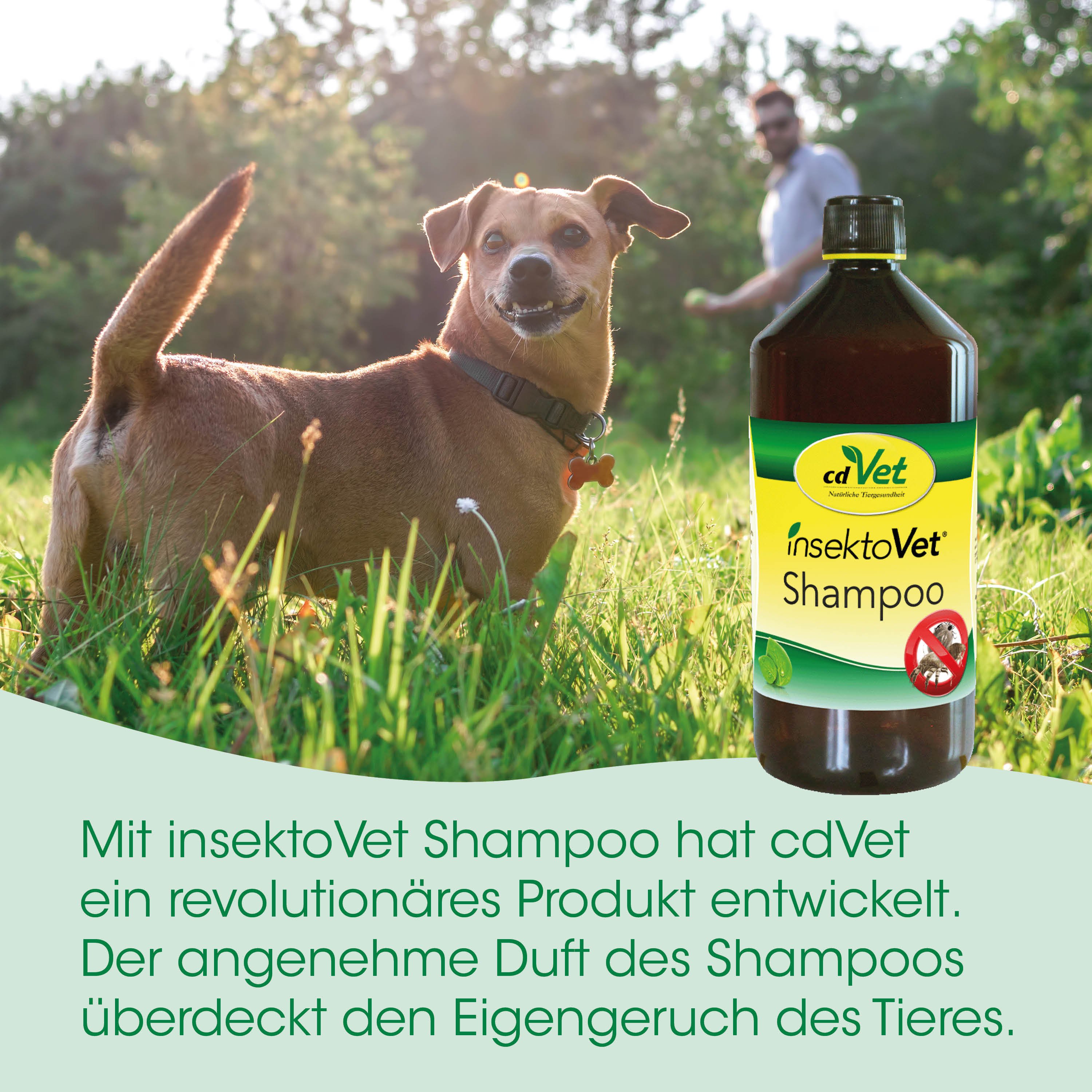 hund, shampoo, insektenabwehr, tierpflege, flasche