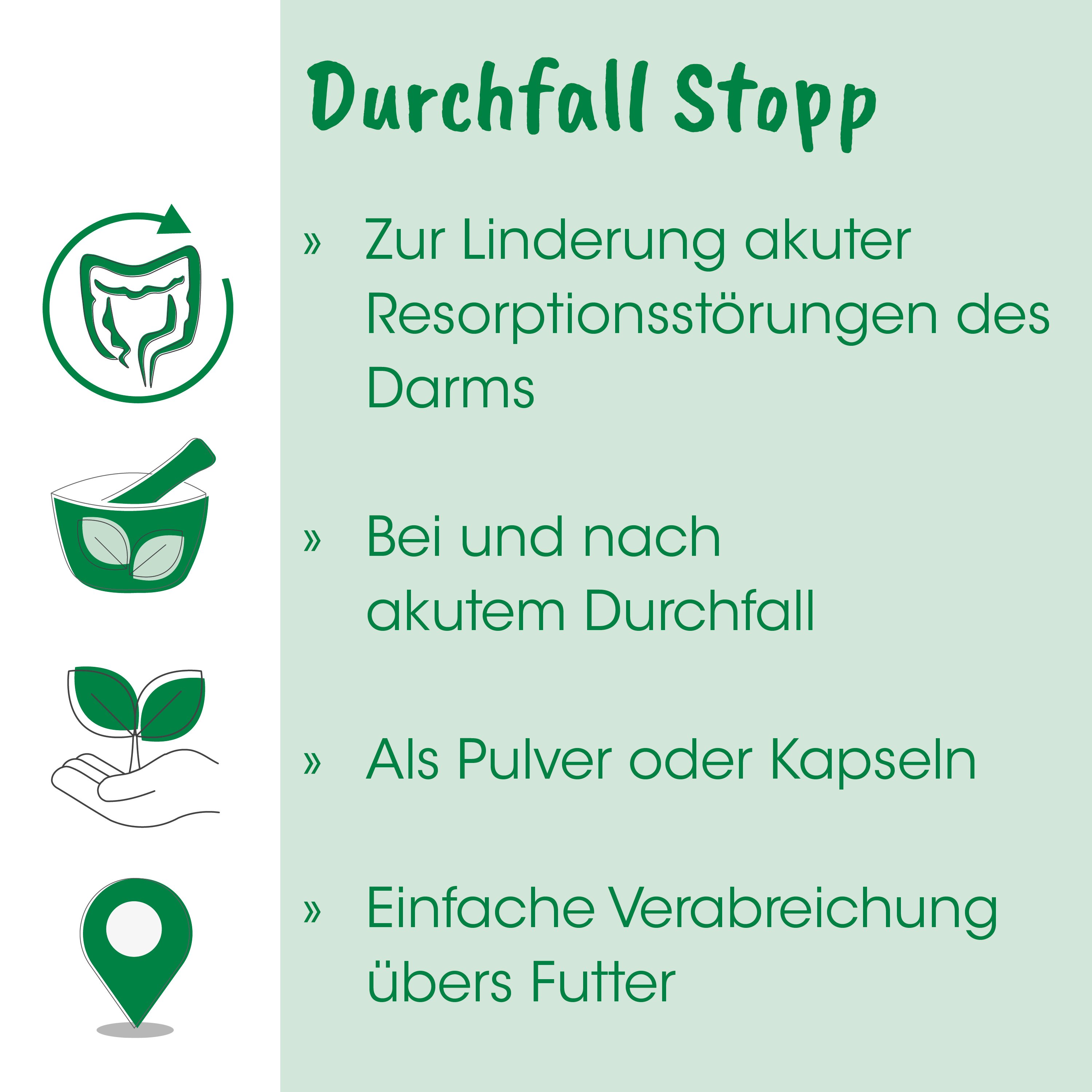 Durchfall Stopp, Kapseln, Pulver, Pflanzenextrakt, Natürliche Mischung