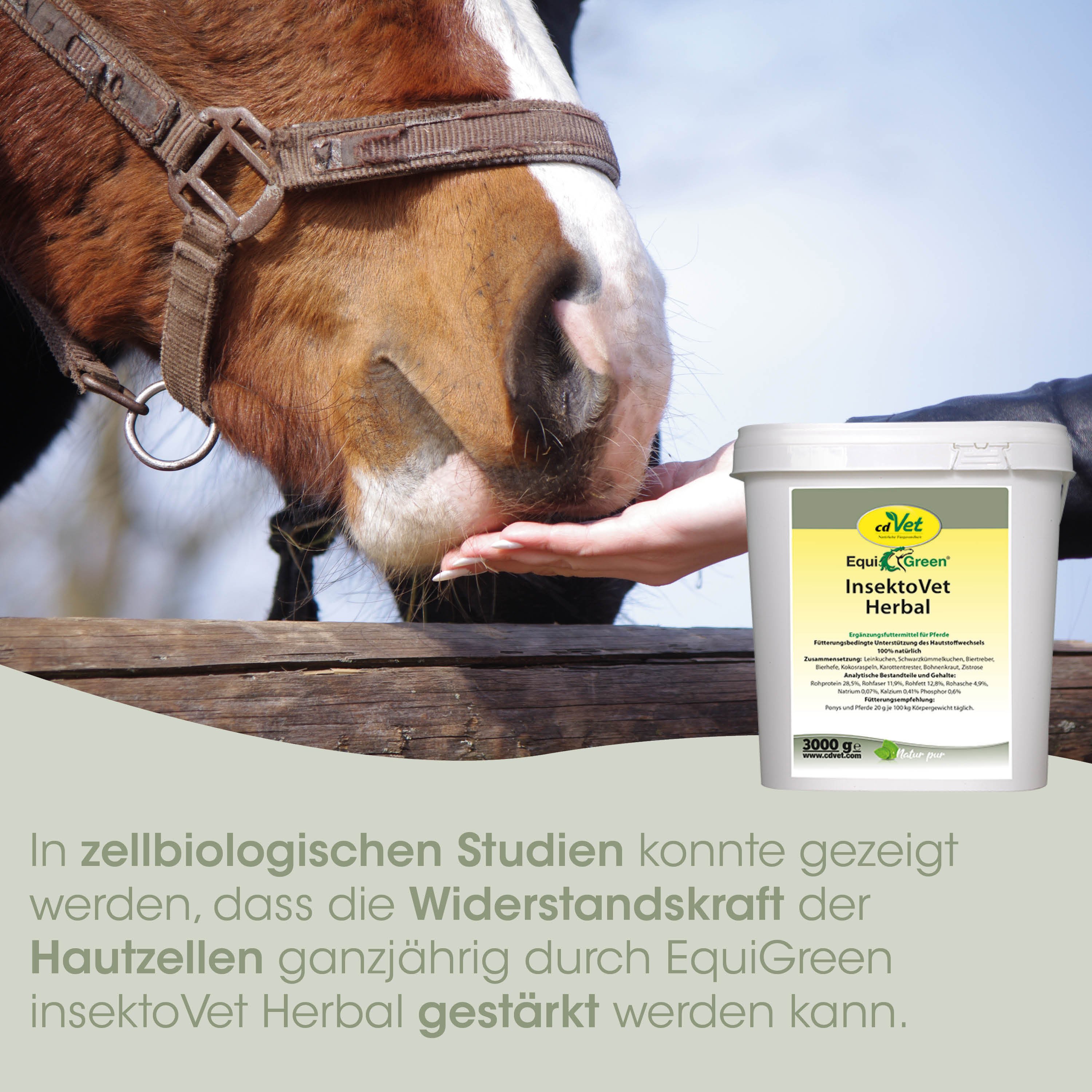 Pferd, Halfter, Pferdepflege, Insektizid, Krautbasierte
