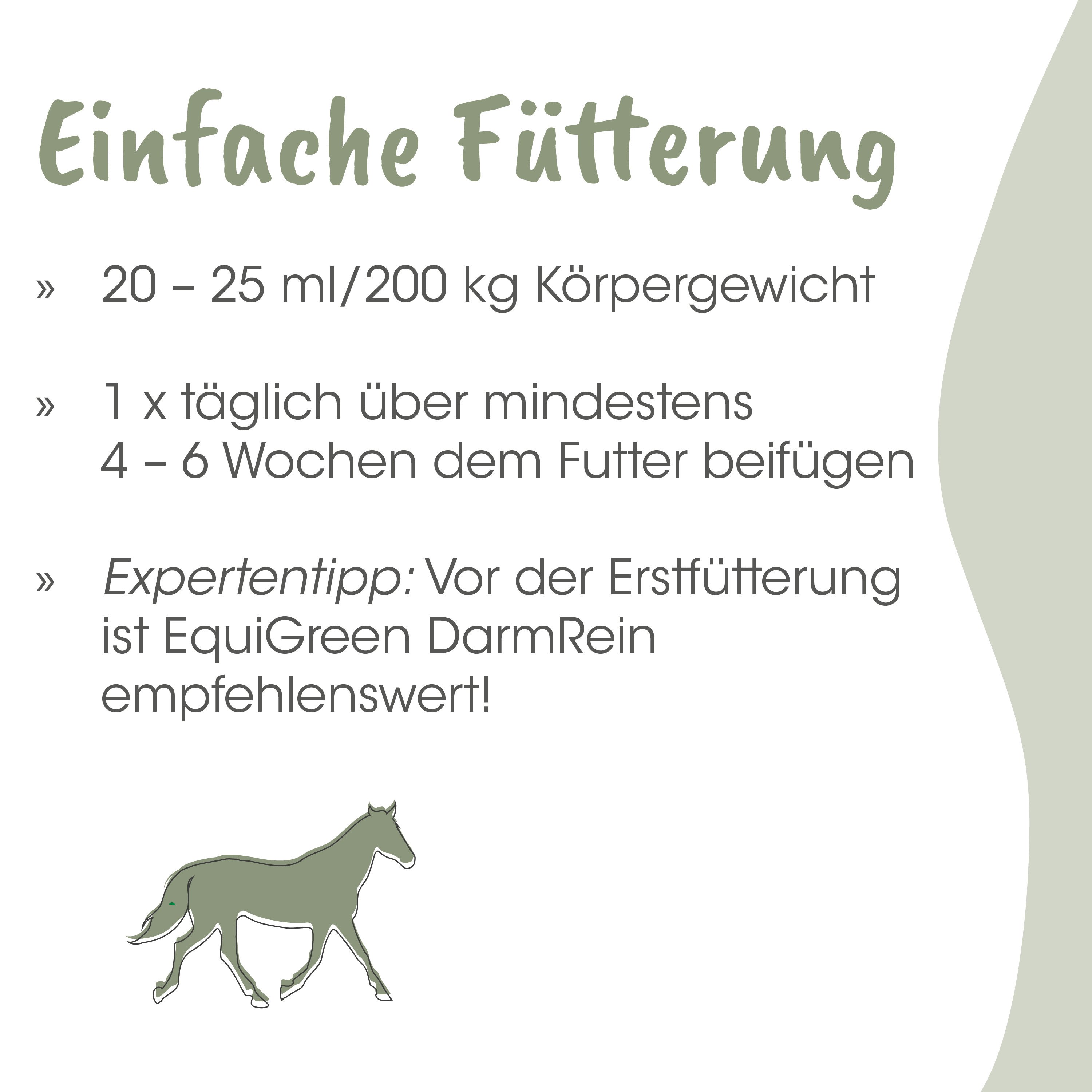 pferd, illustration, grün, pferd, futtertraining