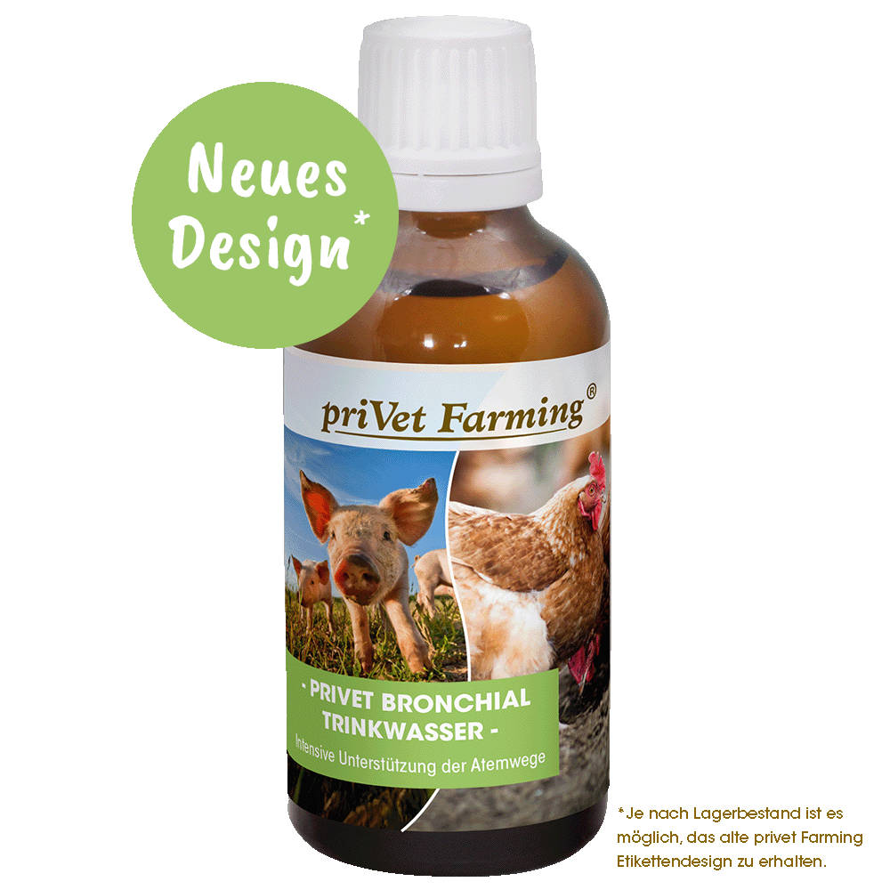 privet Bronchial Trinkwasser 50 ml