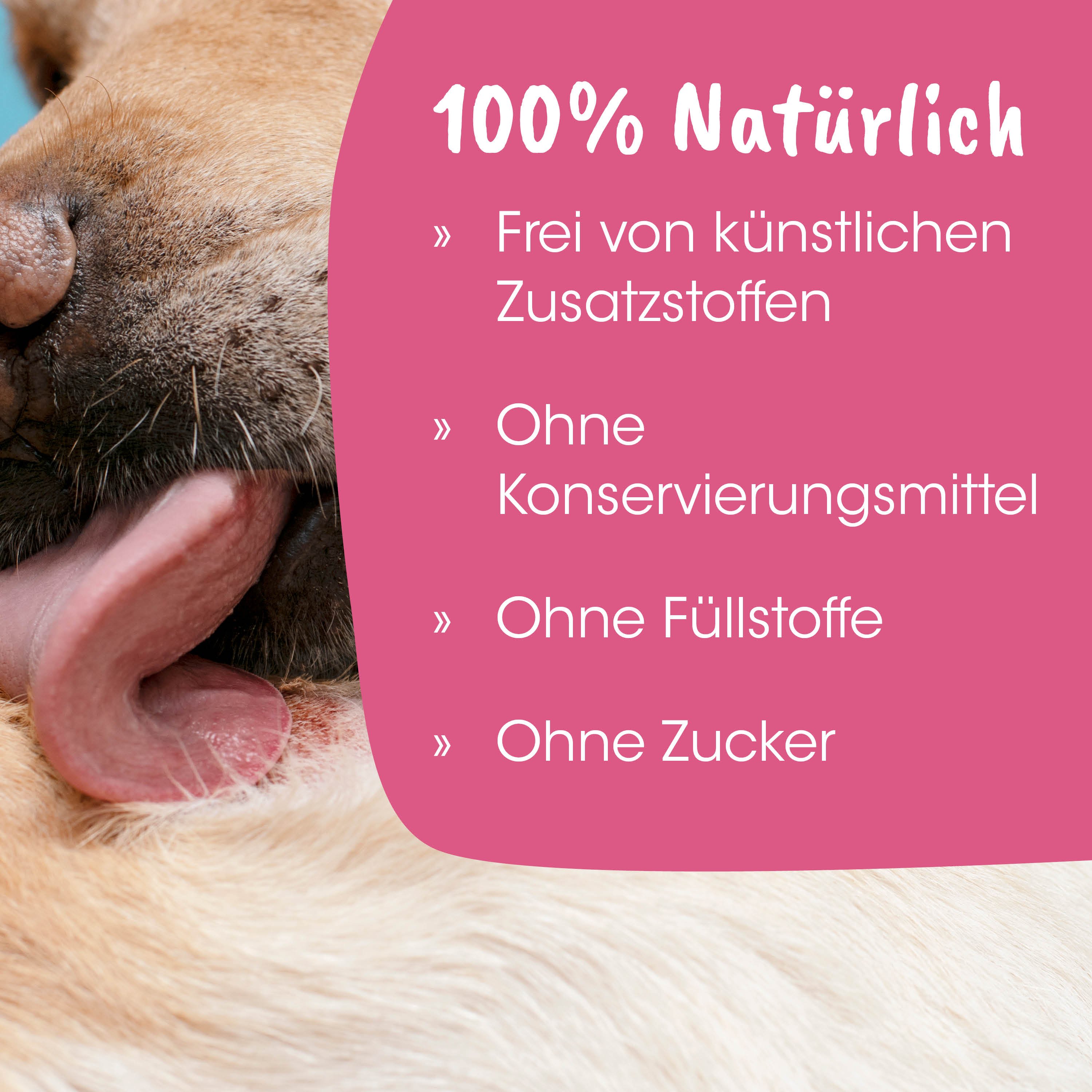 Hund, Nahaufnahme, Zunge, Fell, rosa Etikett
