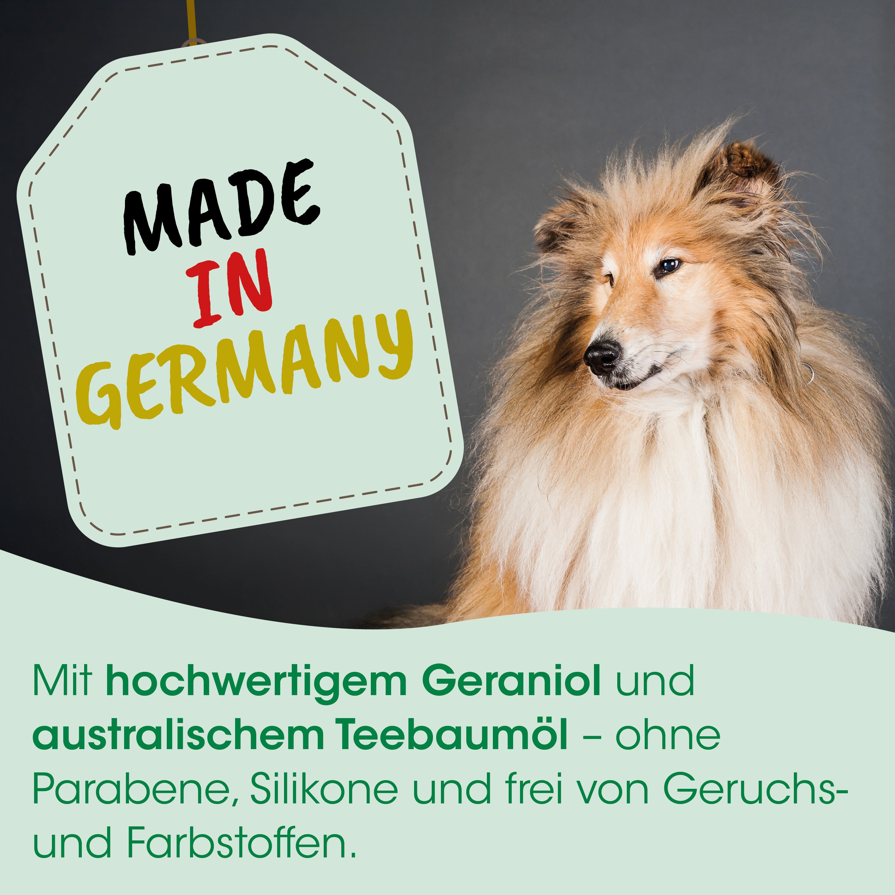 Hund, Collie, Langhaar, Premium-Look, Grau-Schwarz