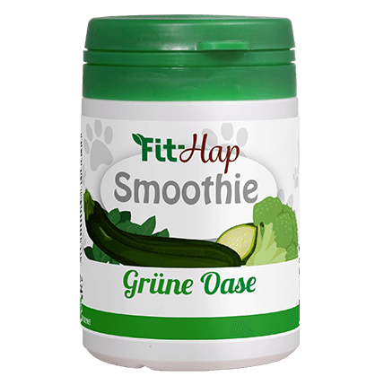 Fit-Hap Smoothie Groene Oase