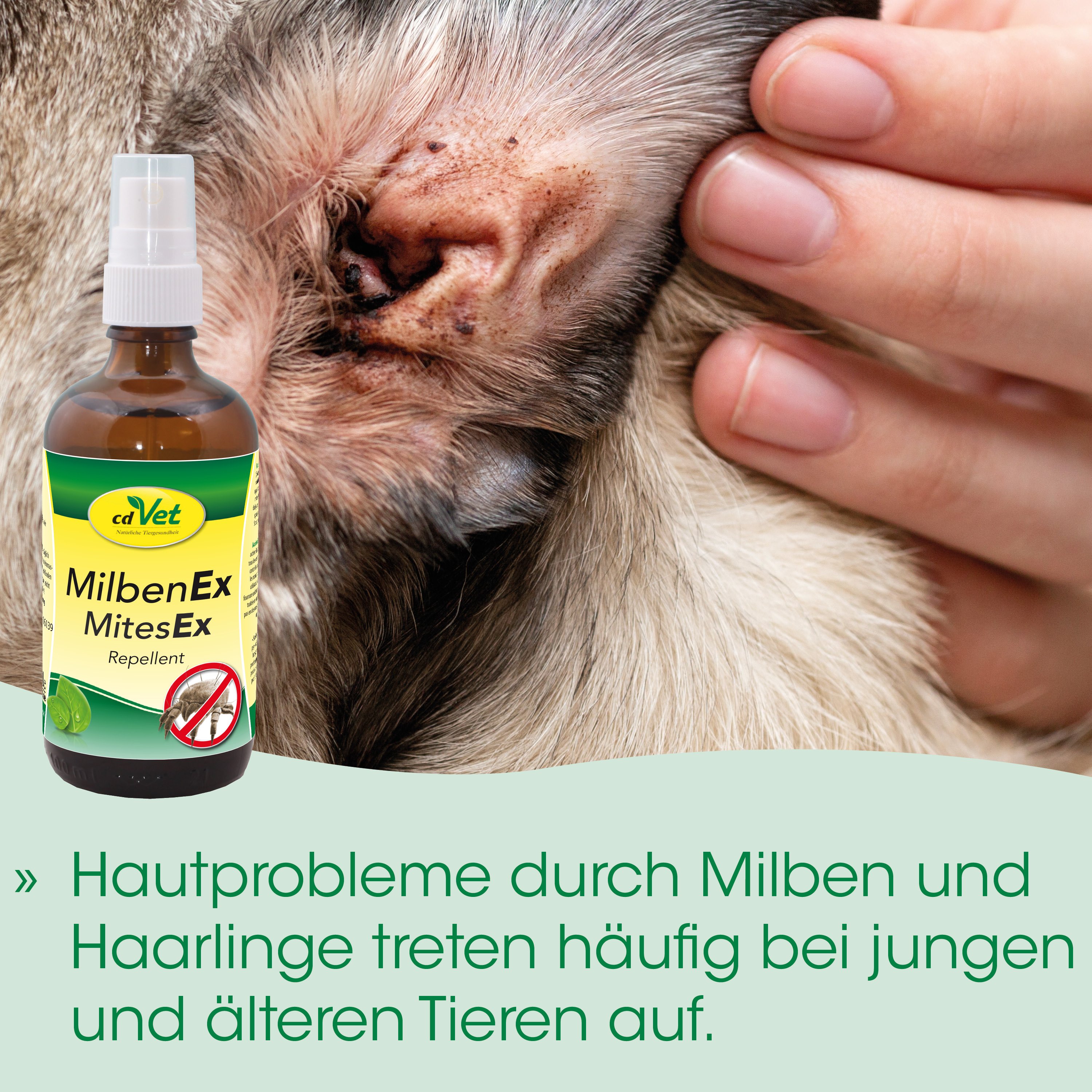 Mite Ex Sprühflasche, Milbenmittel, Tierarzt Produkt, Anti-Mefiebehandlung, Repellent