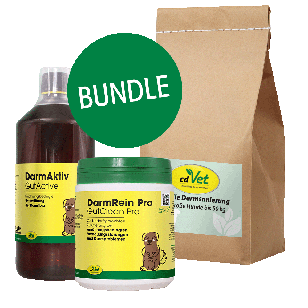Bundle, Hundengesundheit, Darmunterstützung, DarmRein Pro, Tierpflege-Set