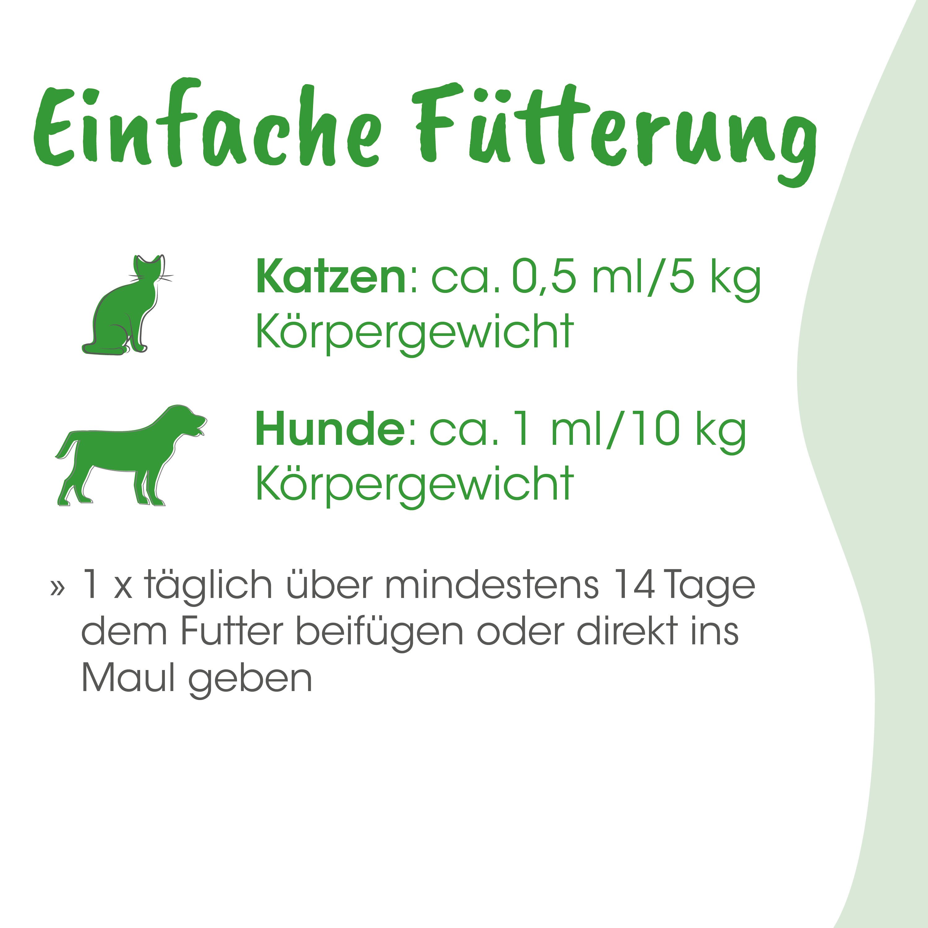 Katzenfutter, Hunde?, Tierfutter, Ernährung, Katzennahrung