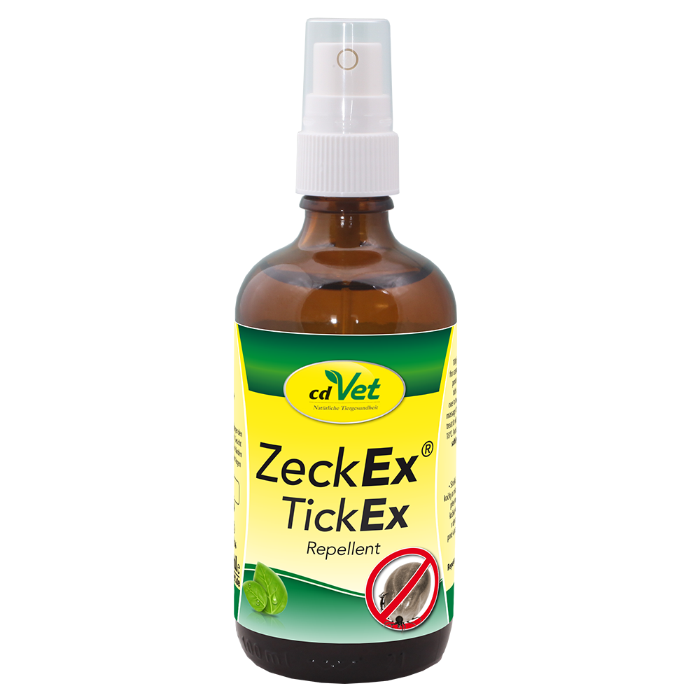 Essen, Würzen, Sirup