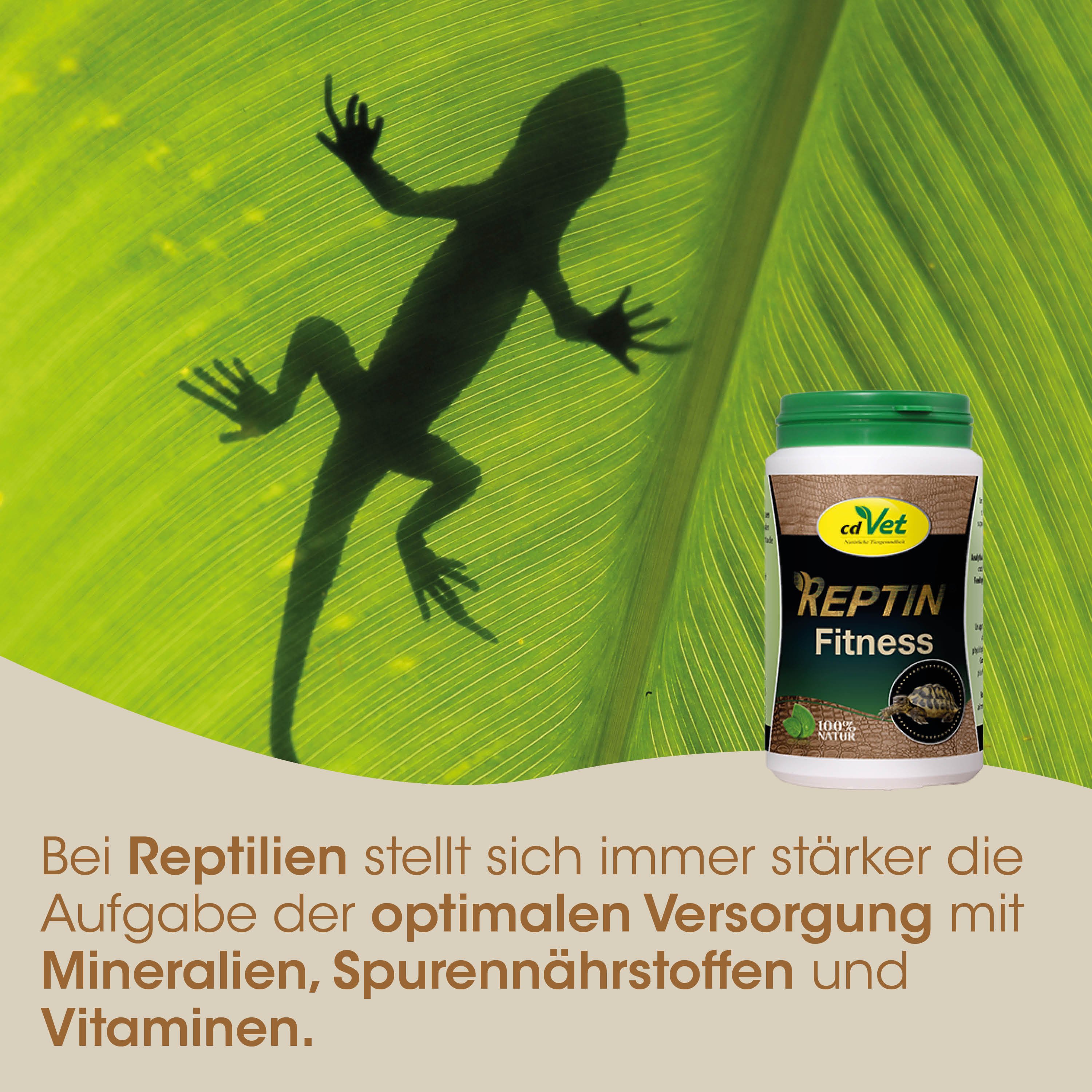 Reptilien Nahrung, Vitamine, Mineralien, Spurenstoffe, Fitness Nahrungsergänzung