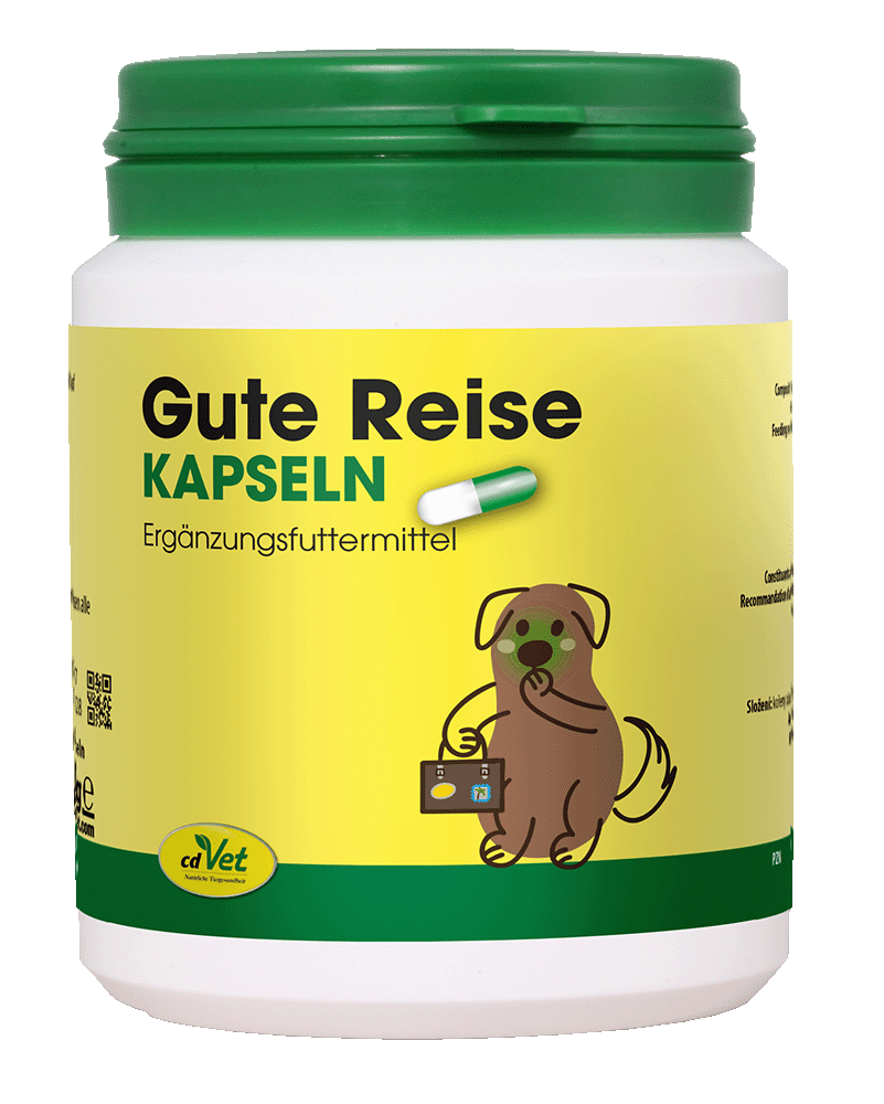Astragal, Blume, Pflanze, Flasche, Shaker