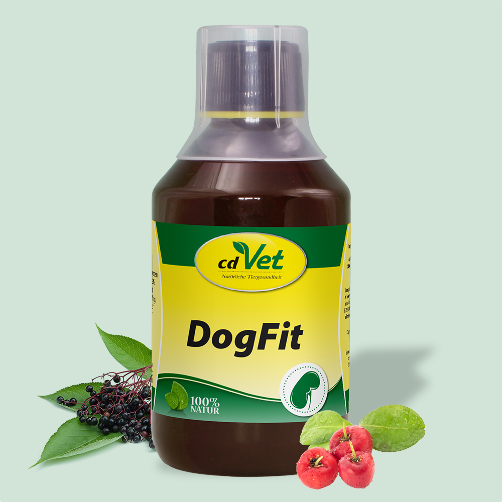 DogFit 250 ml