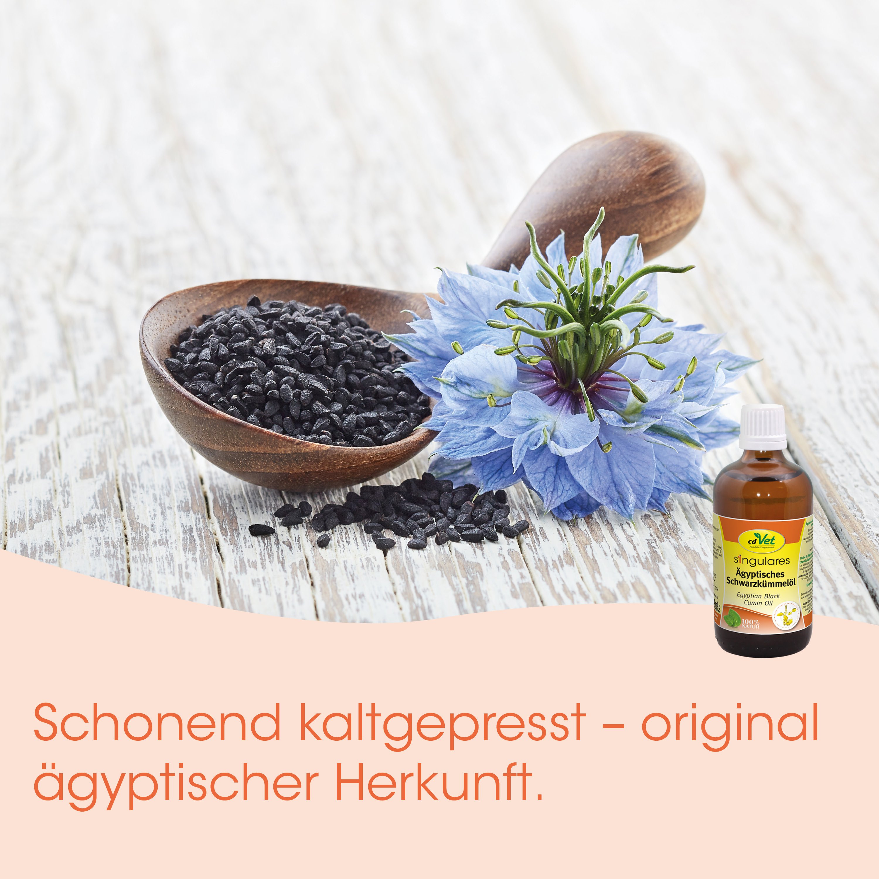 Schwarze Sesams, Ölfass, Blume in Blau, Holzlöffel, ägyptische Herkunft