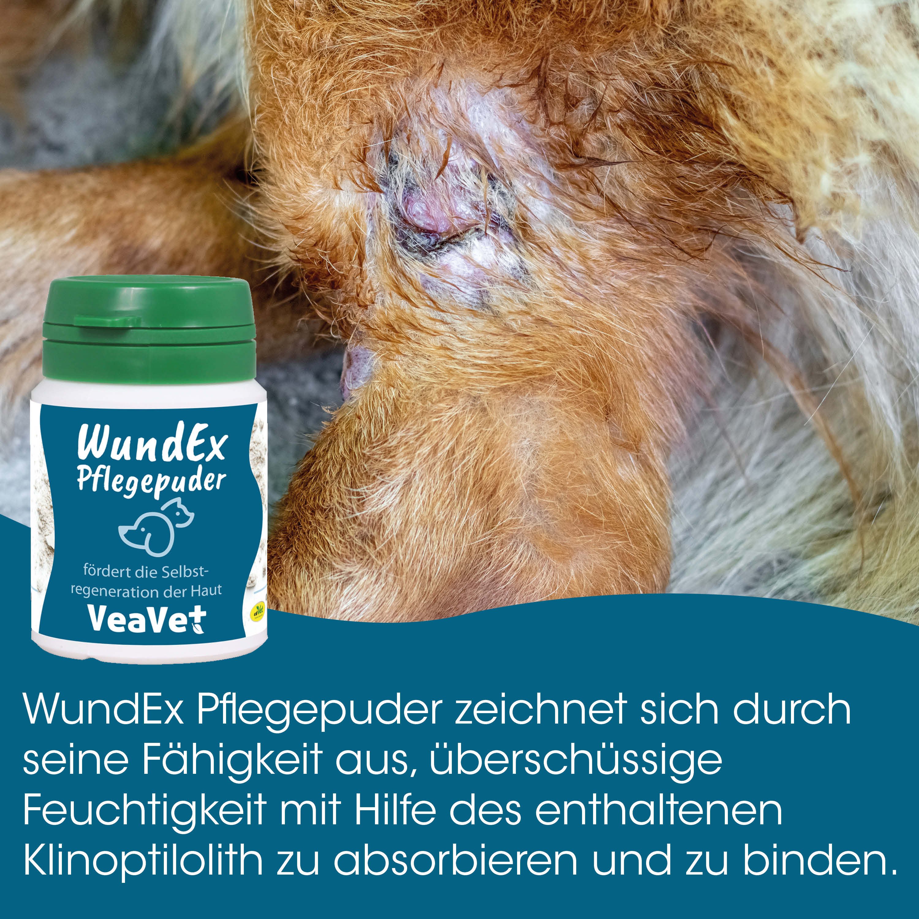 Tierpflege, Wundsalbe, Pferd, Pferdefell, Hydrogel?