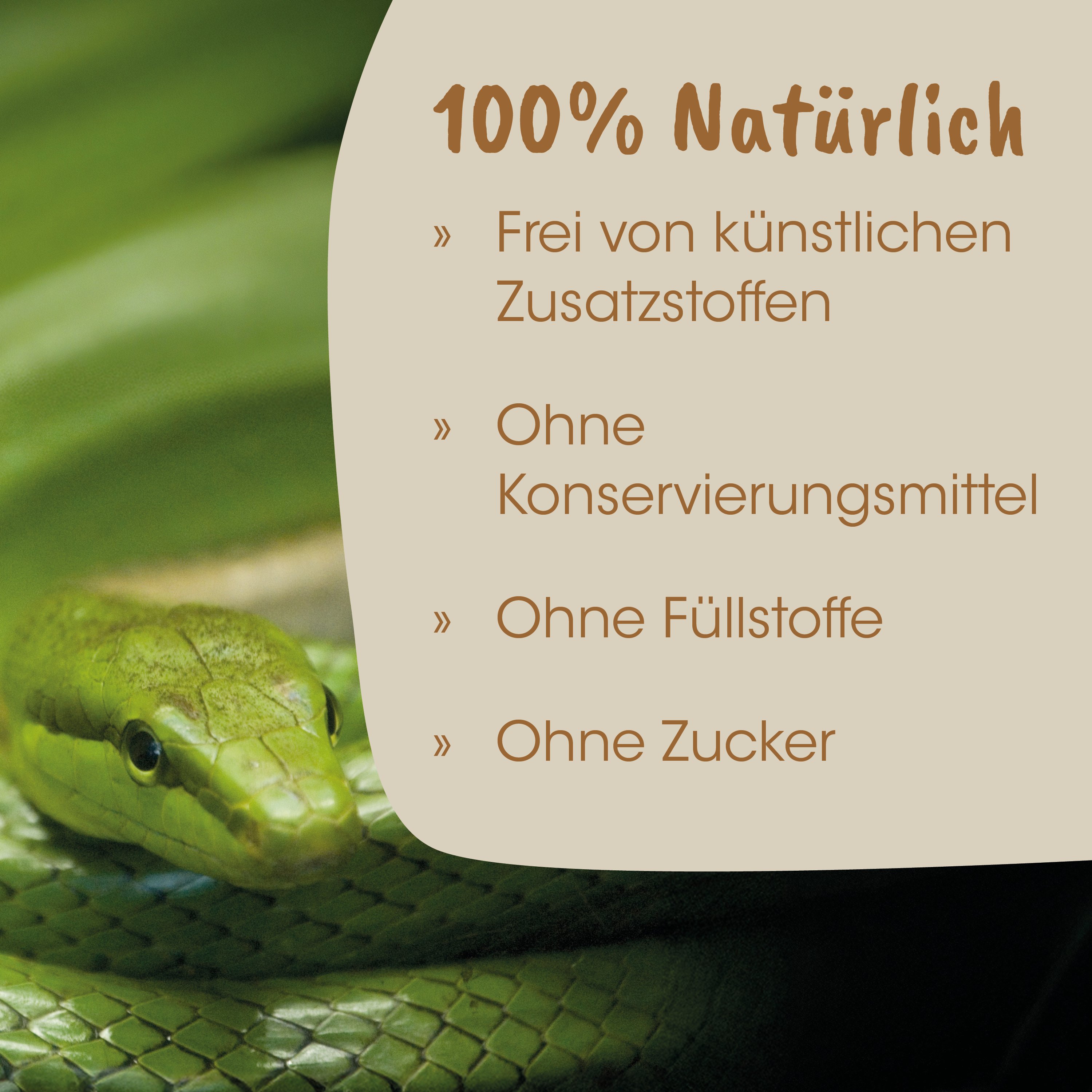 Schlange, grüne Schlange, Schuppenmuster, Schuppen, Nahaufnahme