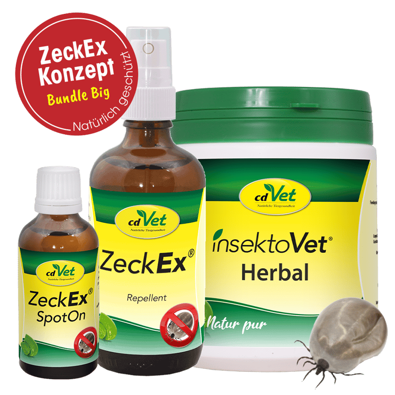 Zecken sind kleine und fast unsichtbare. Aber sehr gefährliche