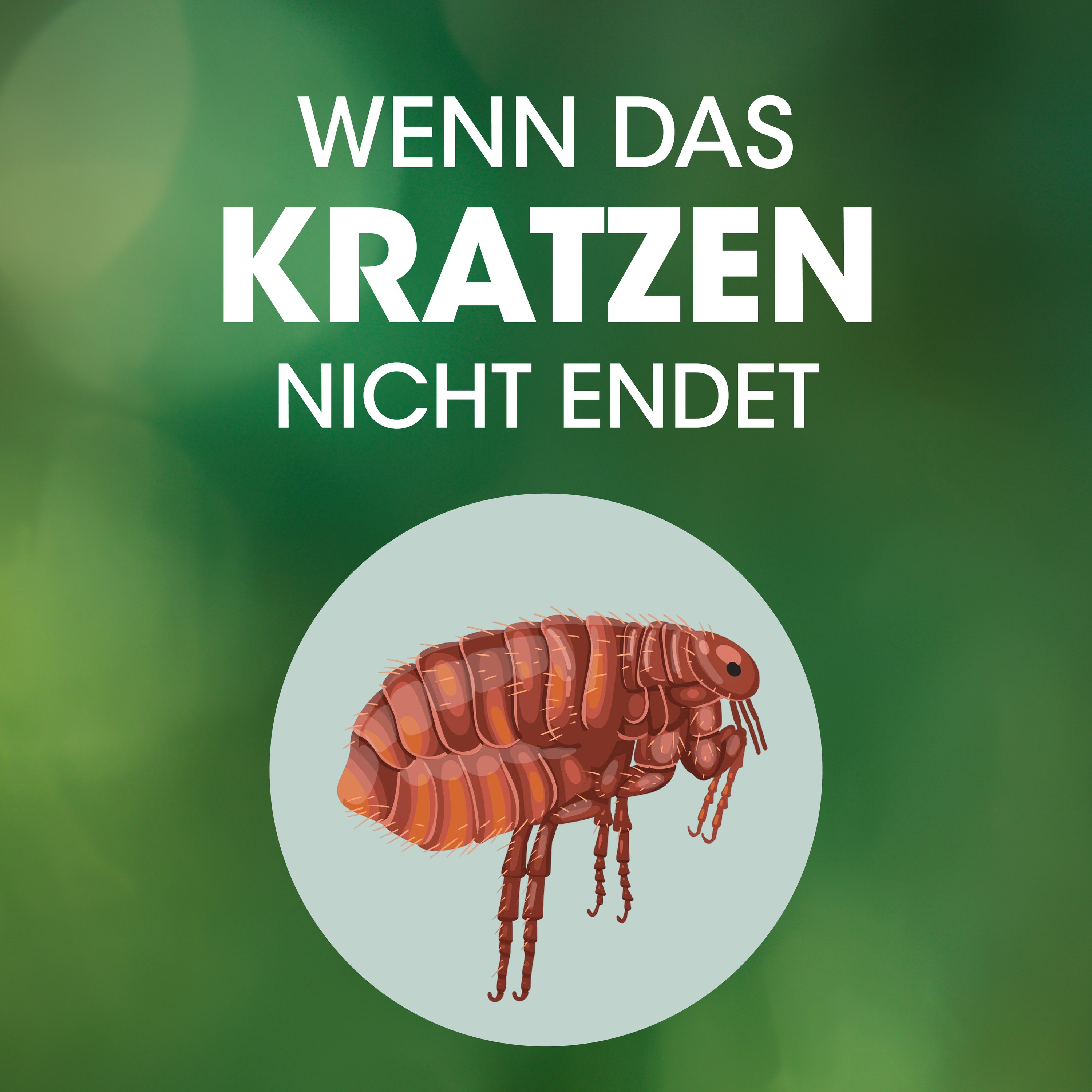 Image-Headline-Text 3
