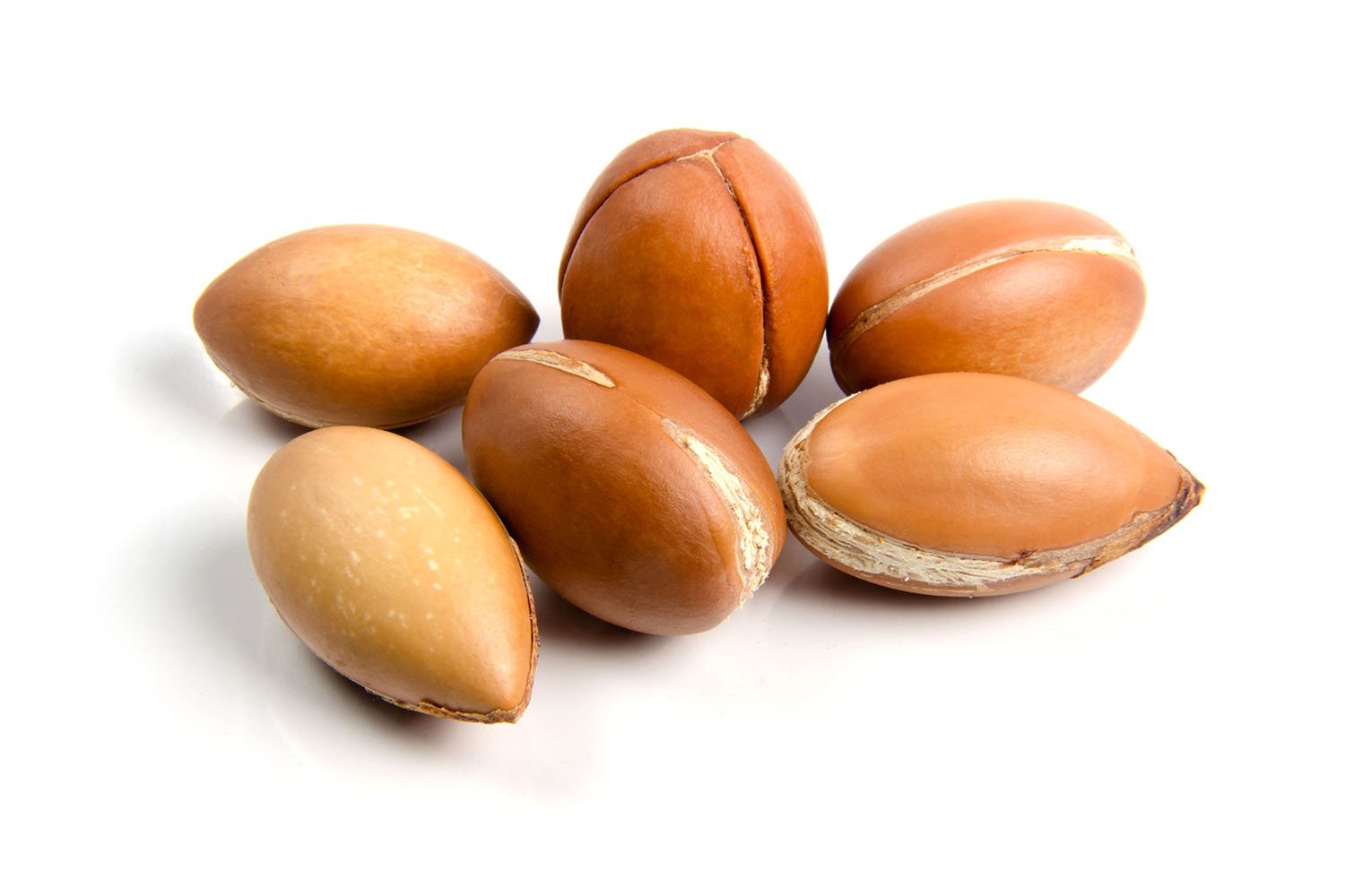 Argan | Natural good Health for your animal