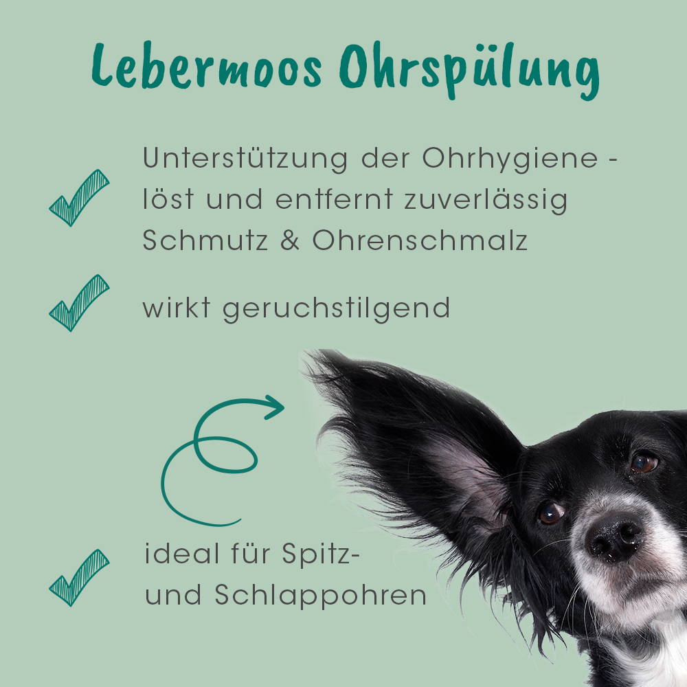 Ohrpflege Hund Anwendung