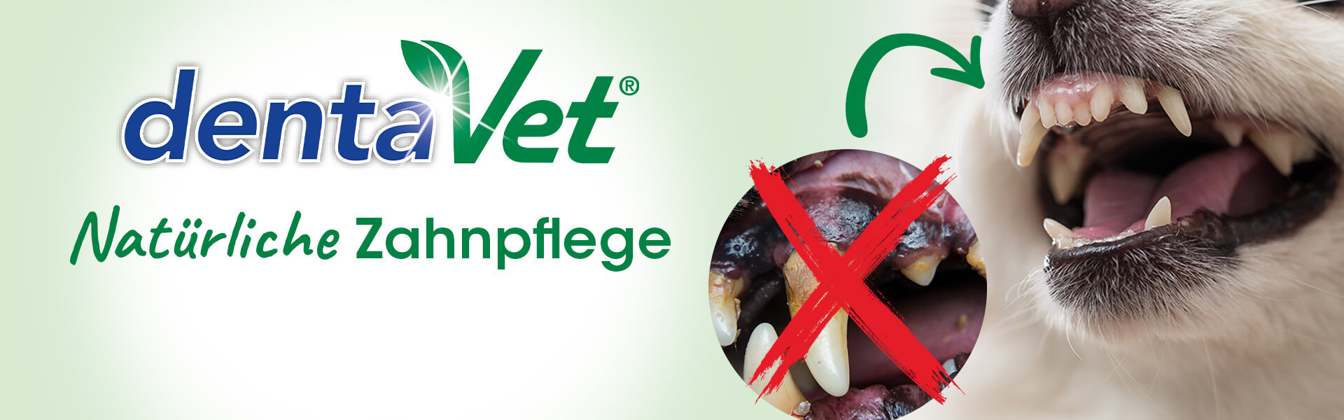 dentaVet – natürliche Mundpflegeprodukte für Tiere