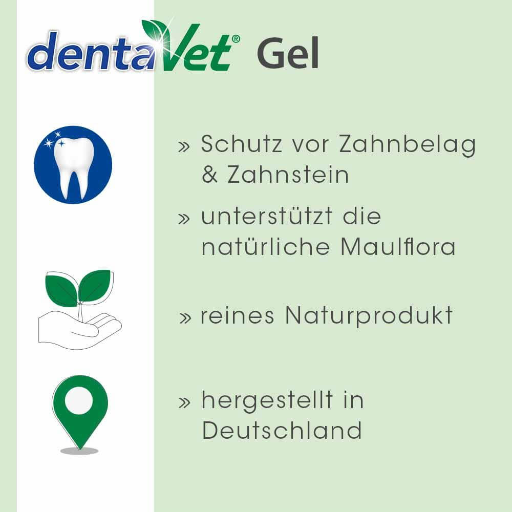 cdVet.de – Ihr Partner für natürliche Tiergesundheit