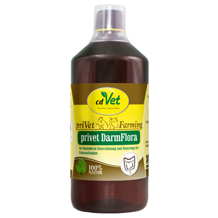 priVet DarmFlora 1 L -Sorbe-