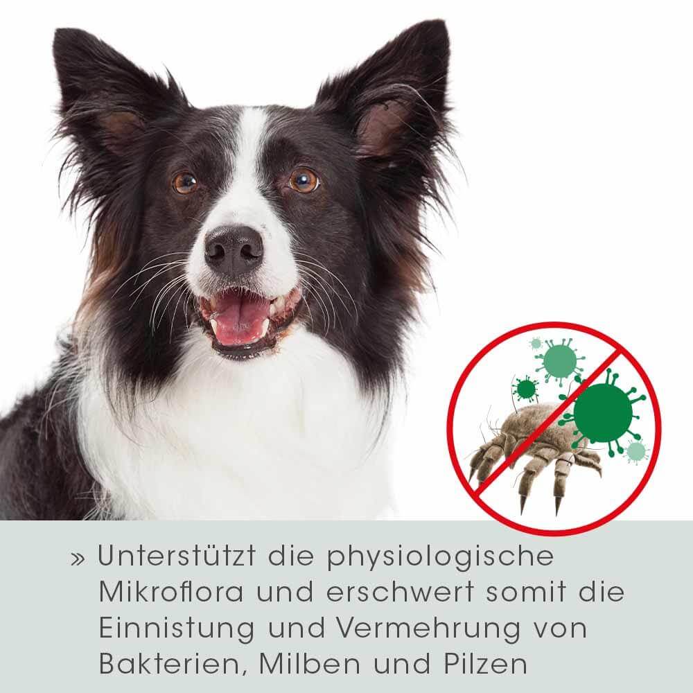 VeaVet Lebermoos Ohrspülung 100 ml
