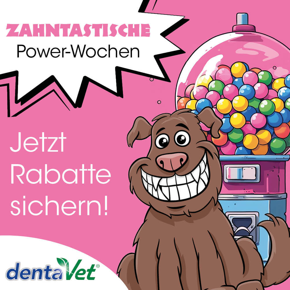 Werbung, Plakat, Essen, Süßigkeiten, Hund