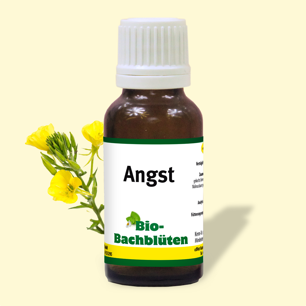 Bio-Bachblüten Angst