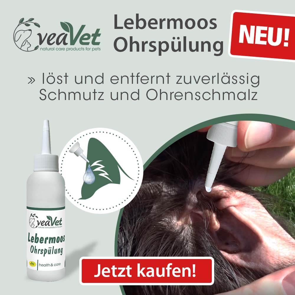 EarClean