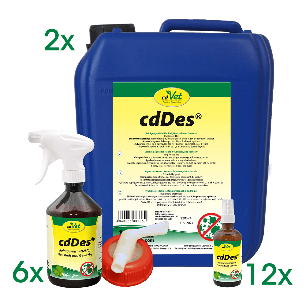 cdDes Fitness-Studios-Set XXL