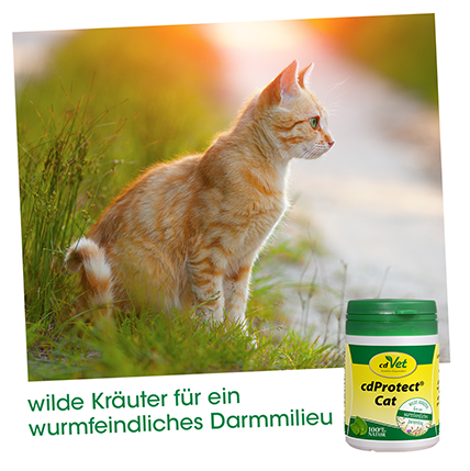 cdProtect Cat 25 g