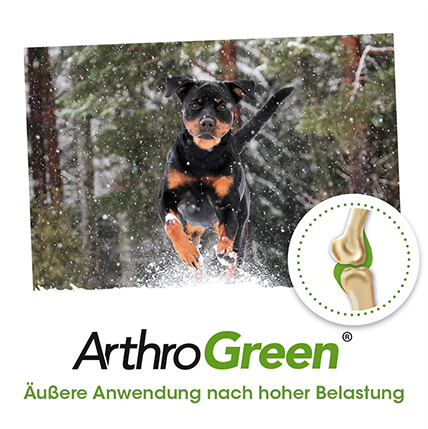 ArthroGreen Gelenkfluid 200ml