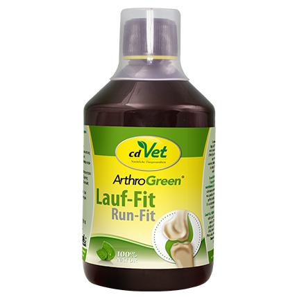 ArthroGreen Lauf-Fit 500 ml -Sorbe-