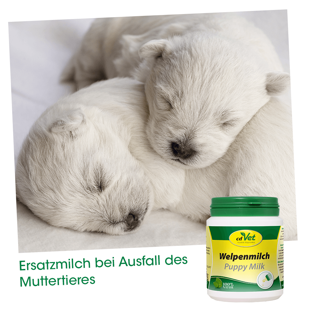 Welpenmilch 750 g