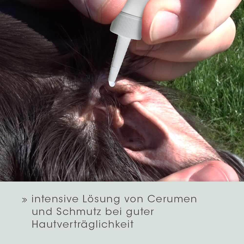 VeaVet Lebermoos Ohrspülung 100 ml