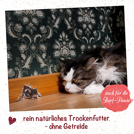 feliTATZ NaturFutter 700 g