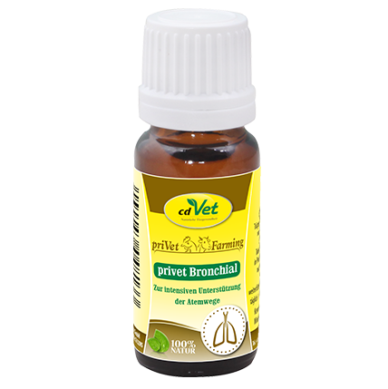 privet Bronchial 10ml