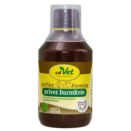 privet DarmRein 250 ml -Sorbe-